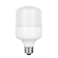 Slika Led sijalica TORCH-20  E27  6400K  20 W  